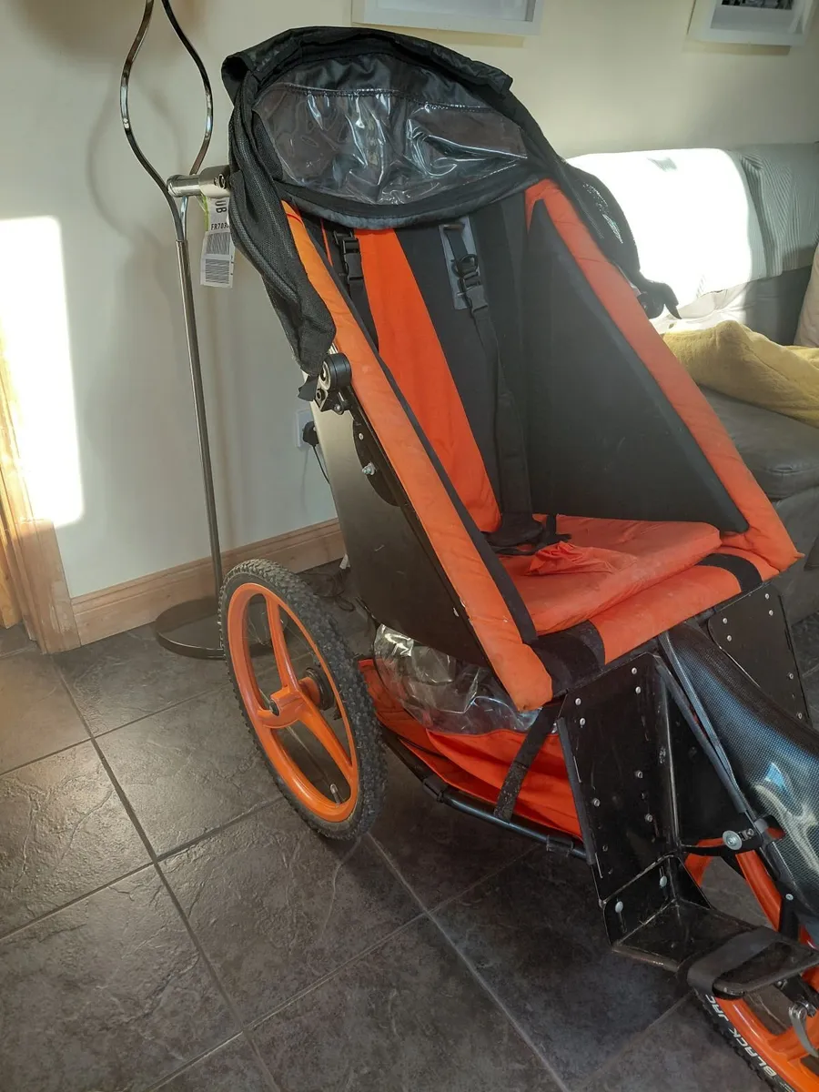 Special needs buggy - Image 2