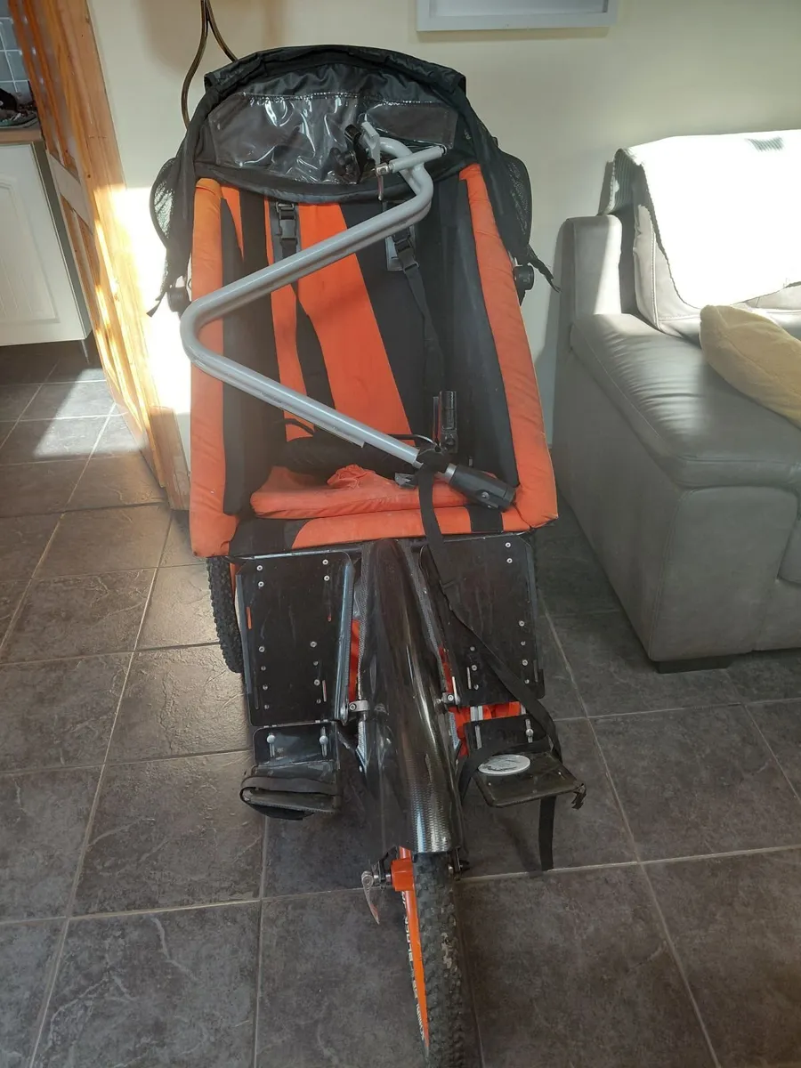 Special needs buggy - Image 3
