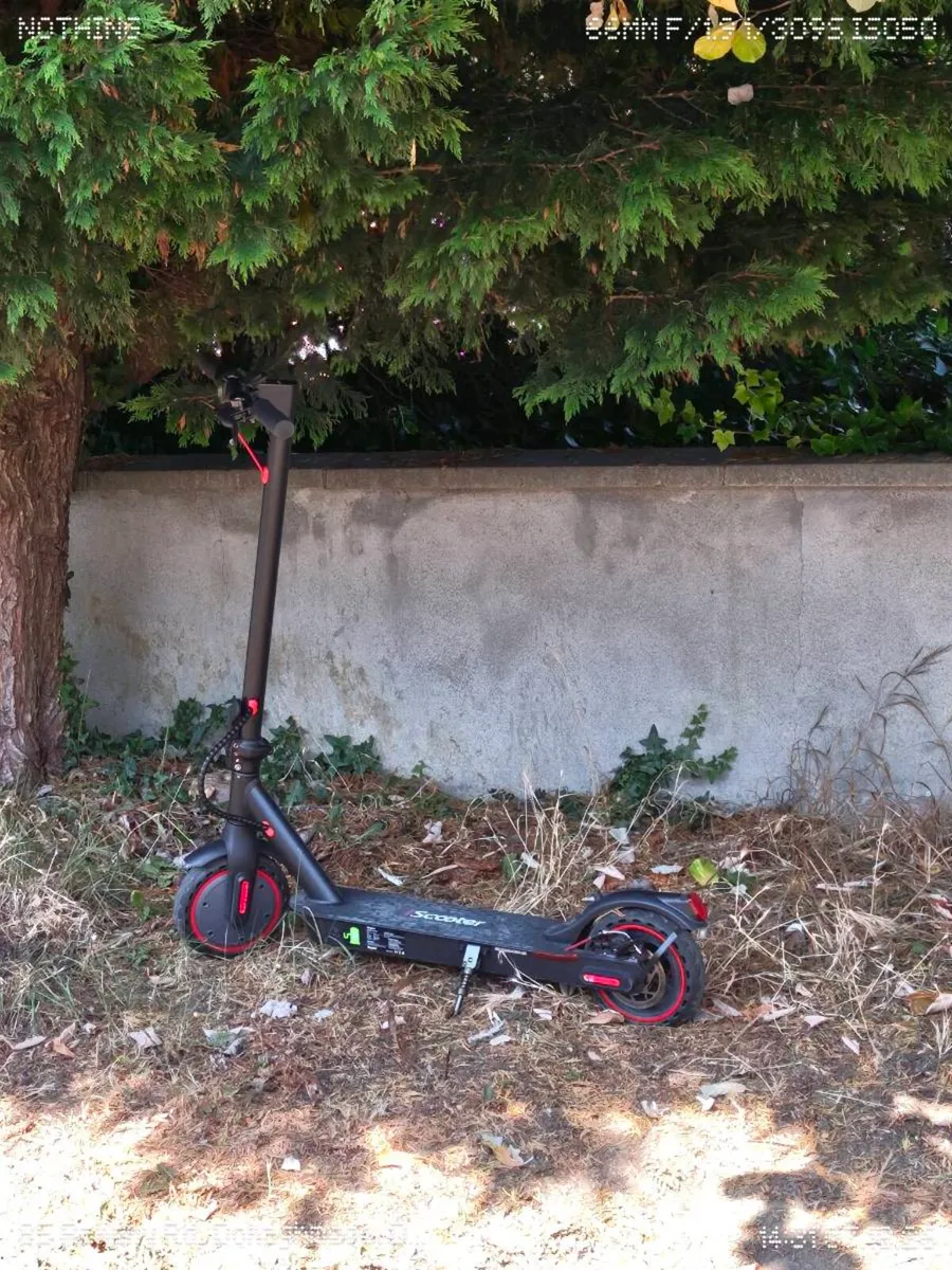 Scooter - Image 1