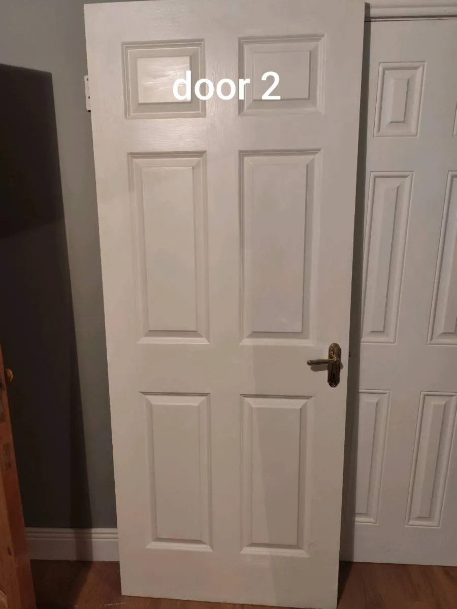 2 hollow fibre doors - Image 1
