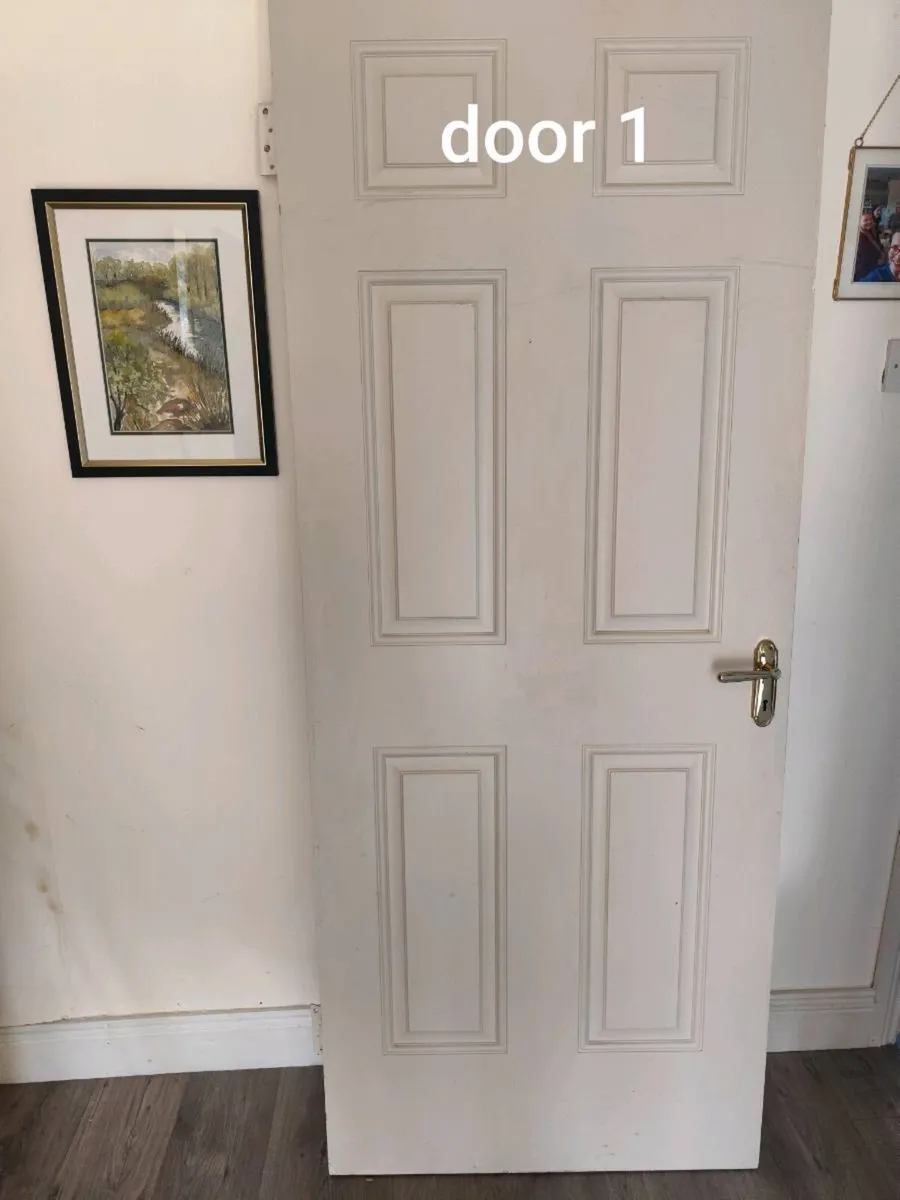 2 hollow fibre doors - Image 2
