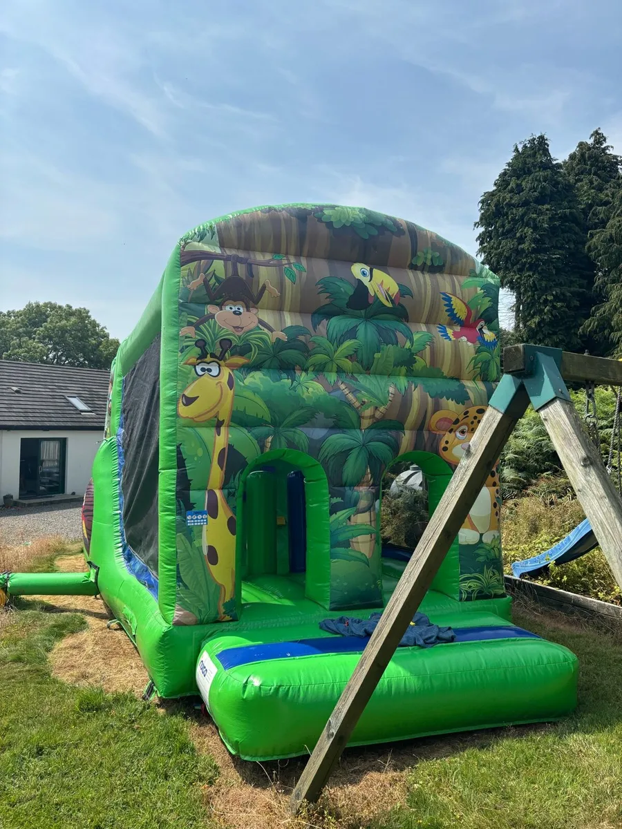 Bouncy castle - Image 2