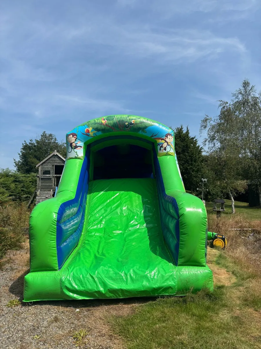 Bouncy castle - Image 3