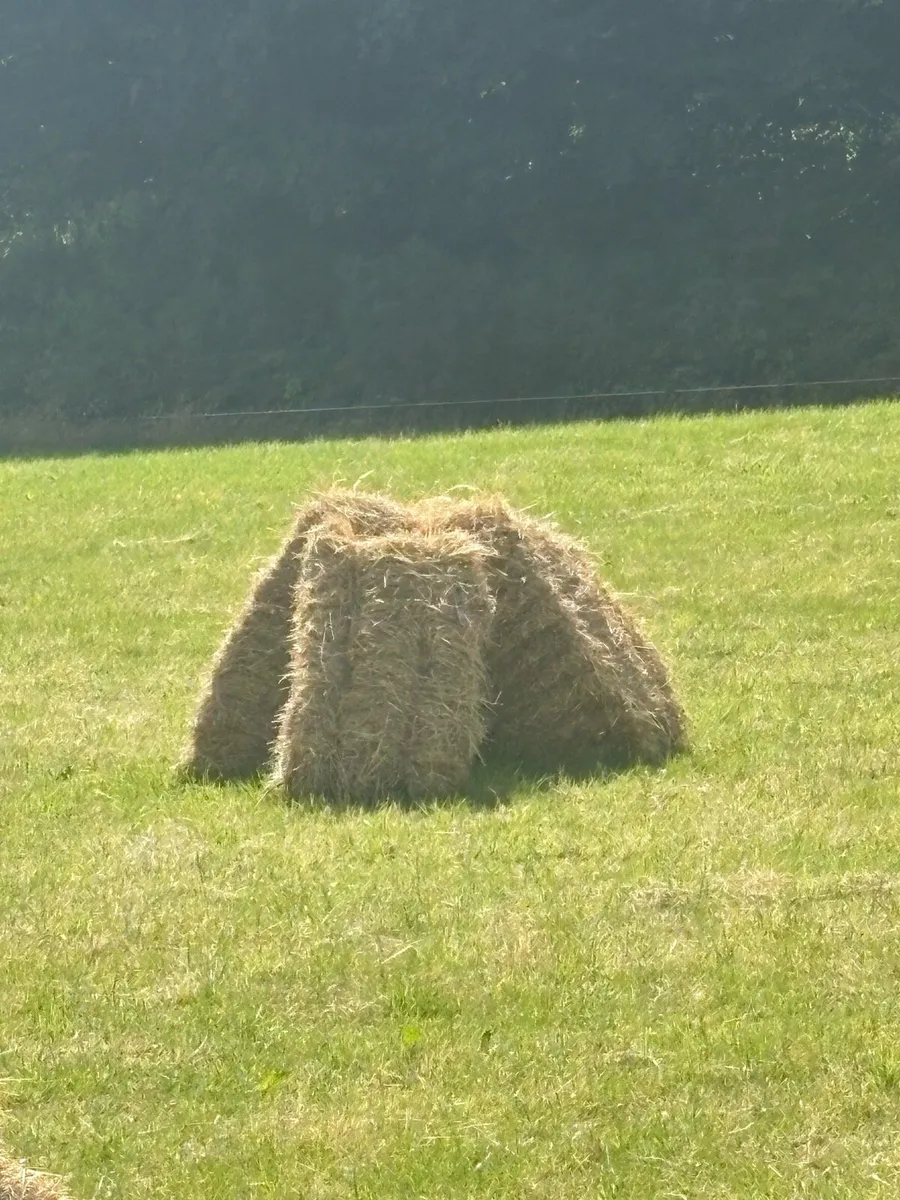 Small Square Hay Bales - Image 2
