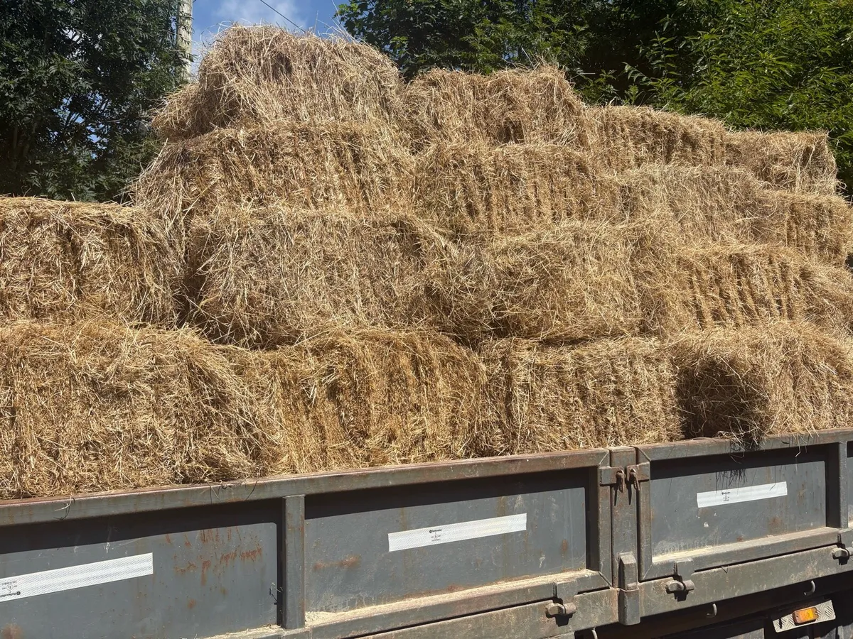 Small Square Hay Bales - Image 3