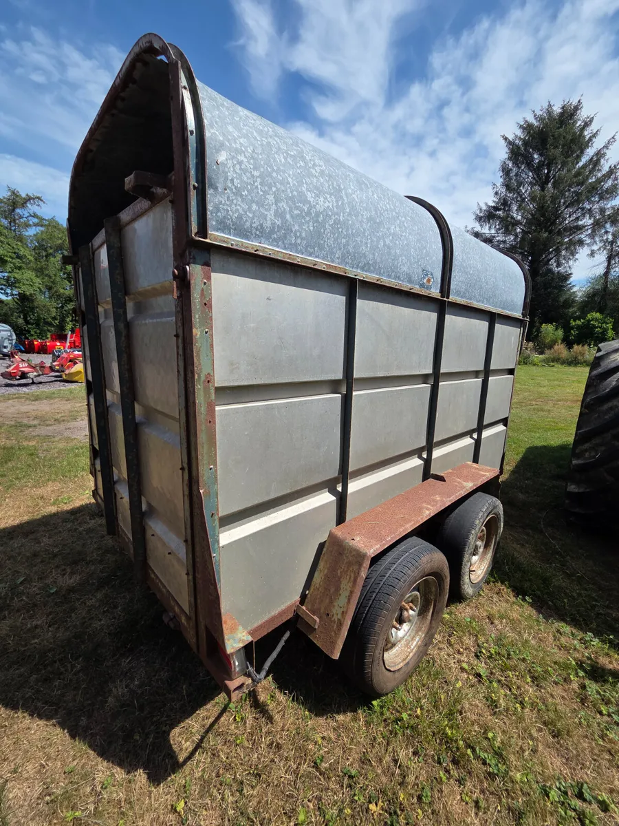 Murphy 8 x 4 Cow Box - Image 4