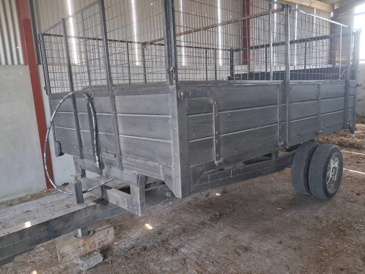 Tipping trailer - Image 1