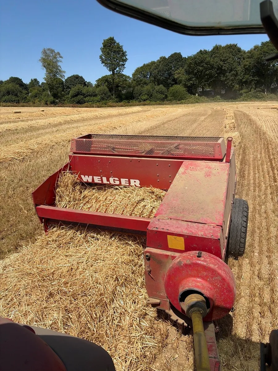 Small square bales of straw - Image 1