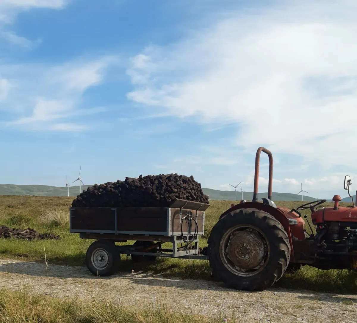 Turf trailer - Image 1