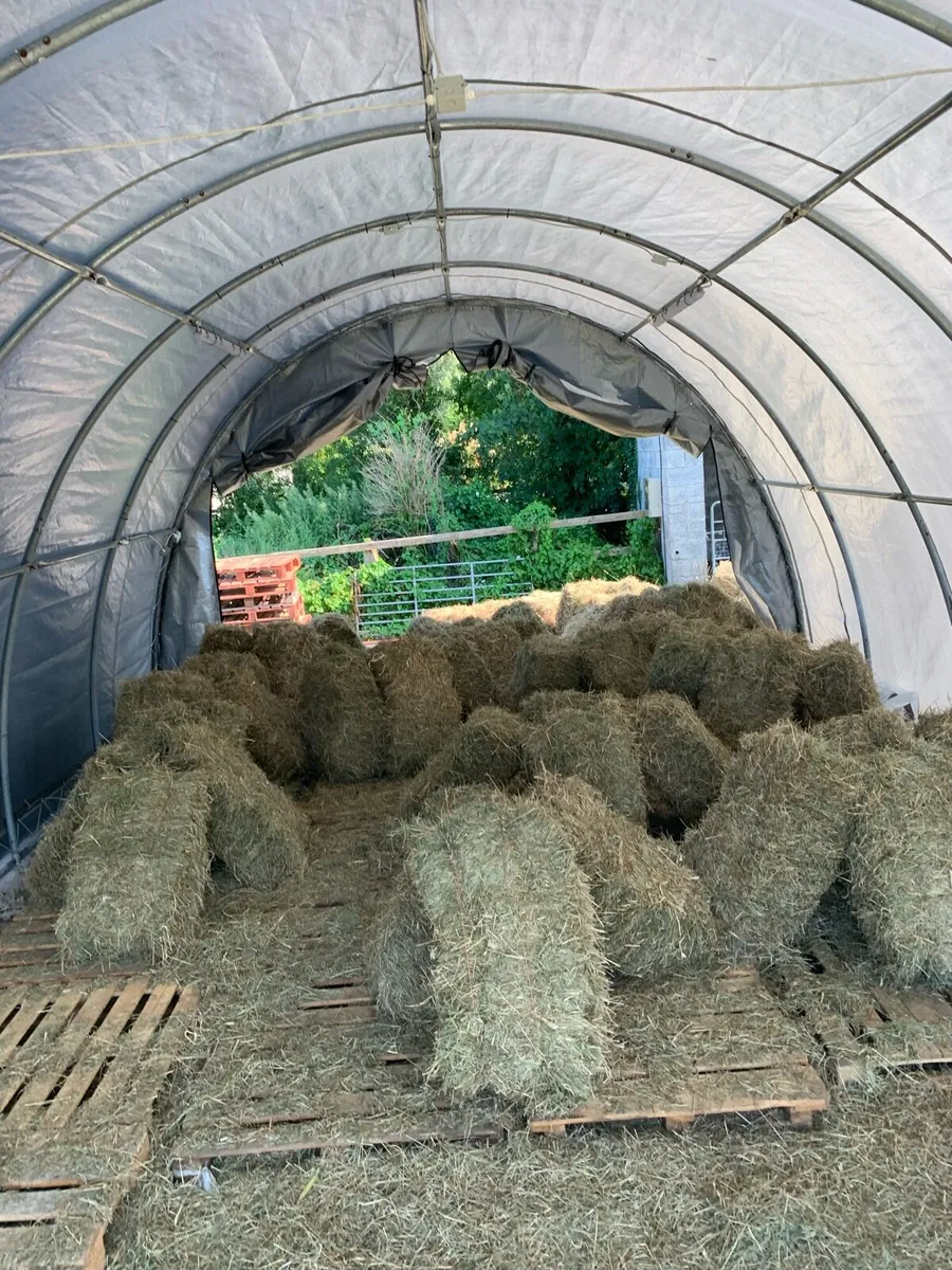 Small square bales - Image 1
