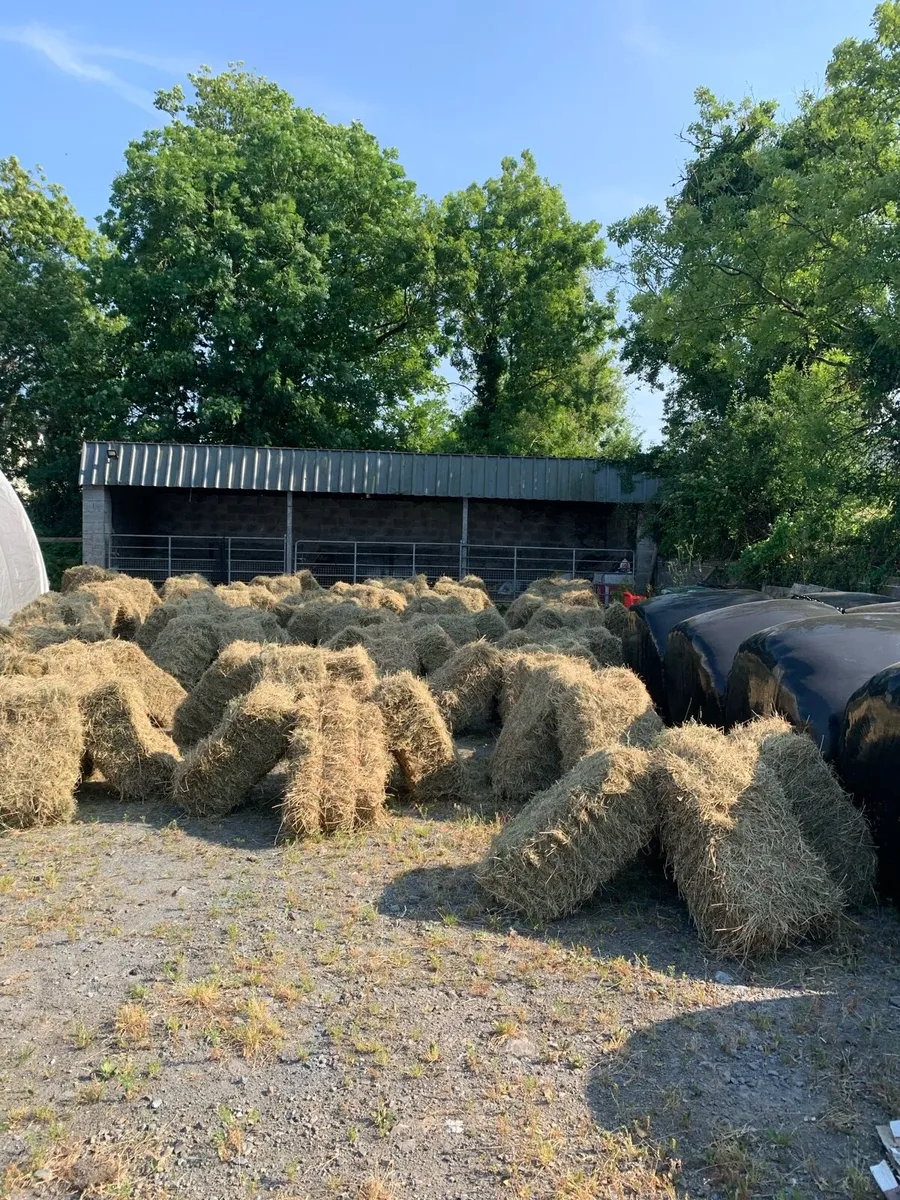Small square bales - Image 2