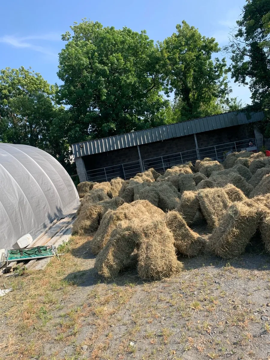 Small square bales - Image 4
