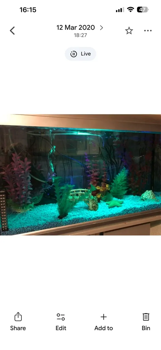 Fish tank - Image 1