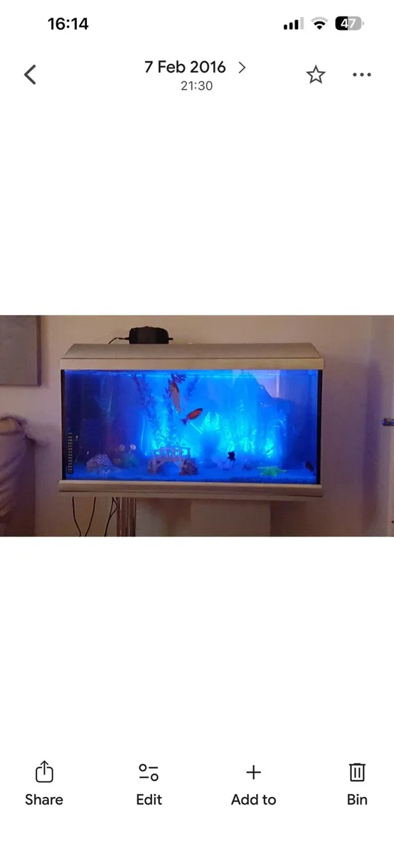 Fish tank - Image 2