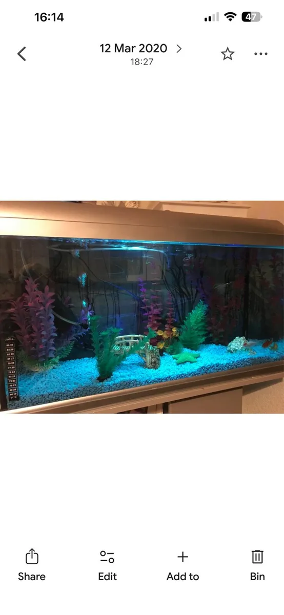 Fish tank - Image 3