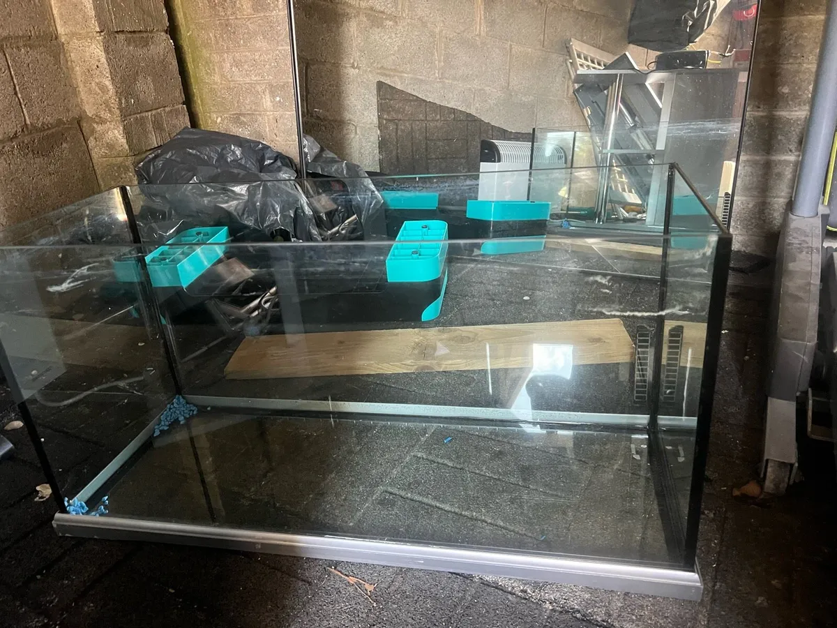 Fish tank - Image 4