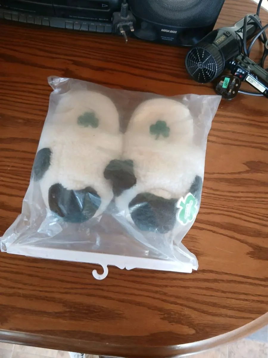Slippers - Image 1