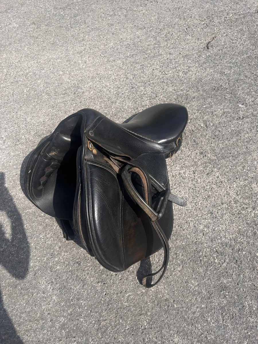 Saddle - Image 2