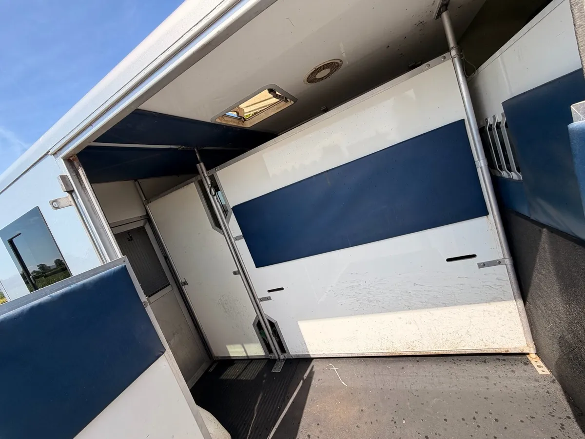 2 stall horse box 3.5t Renault master - Image 3