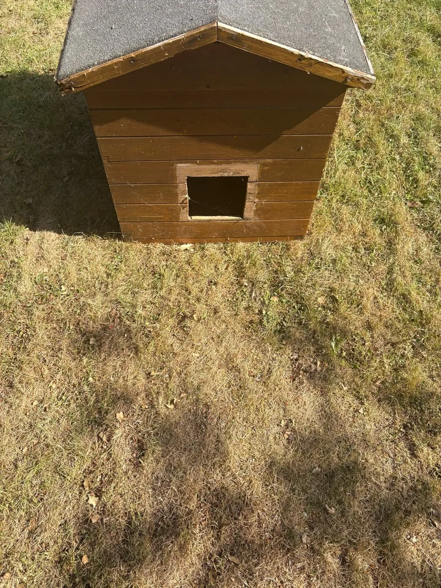 Dog House - Image 4