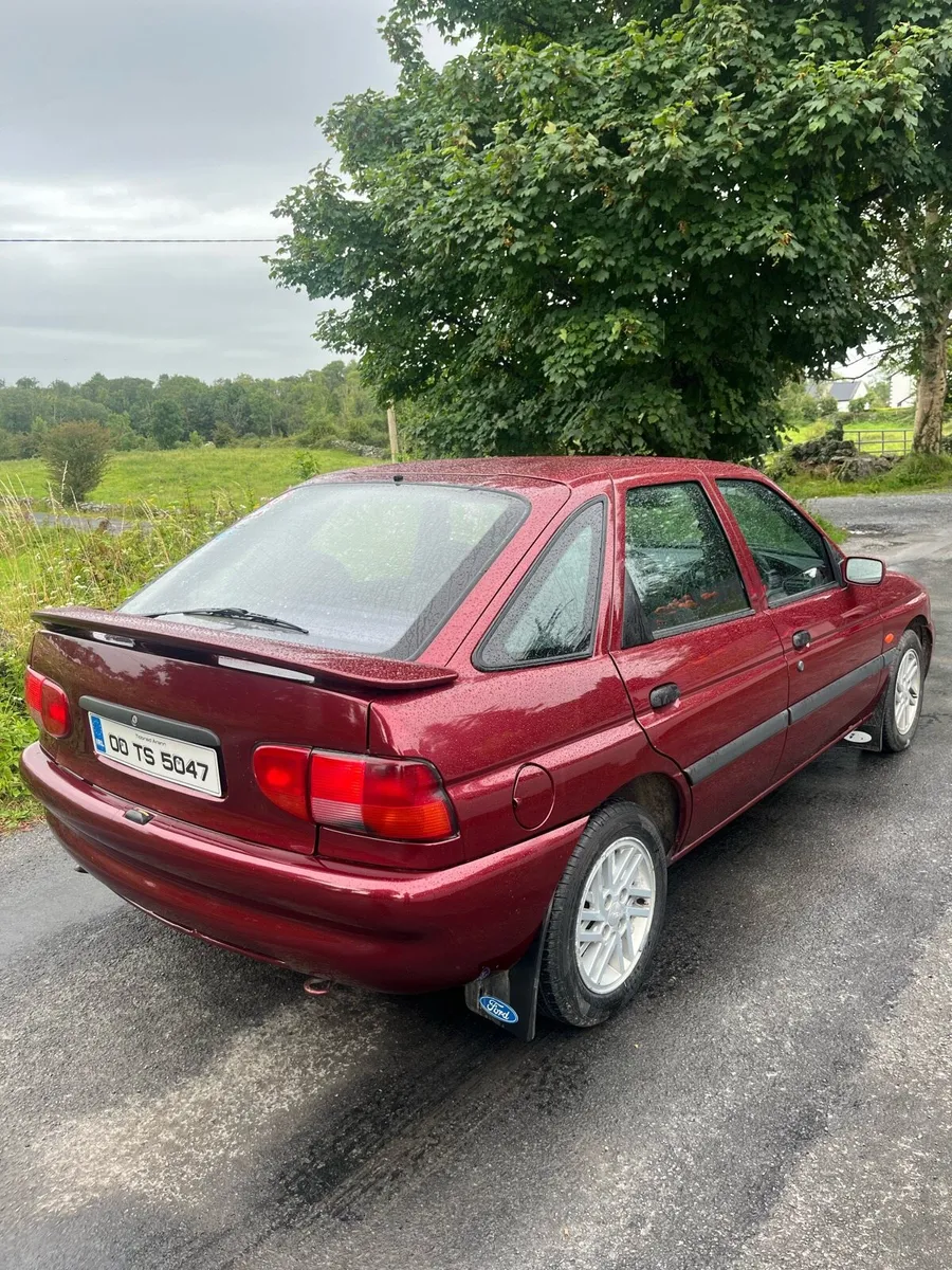 Escort - Image 2