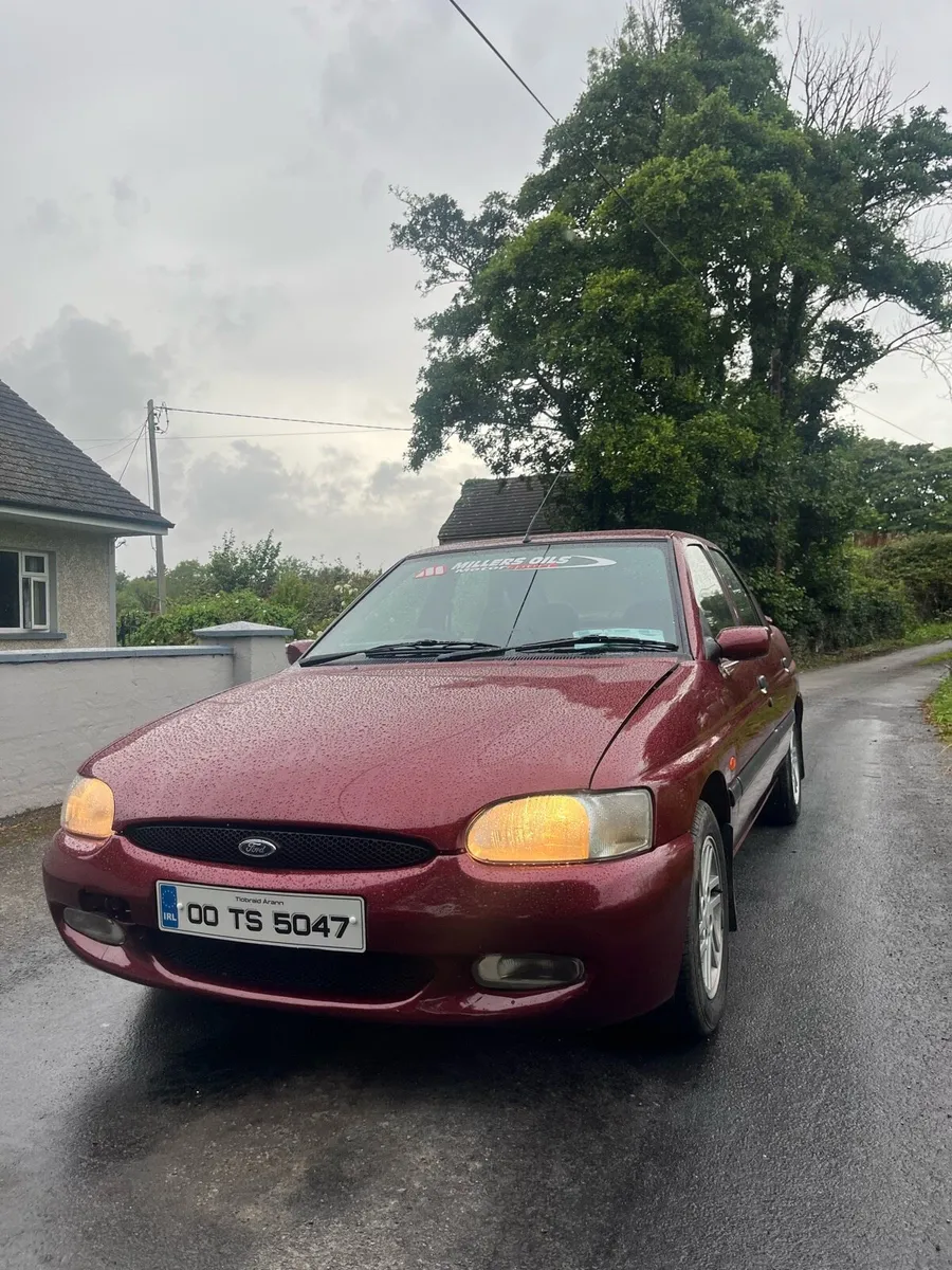 Escort - Image 3