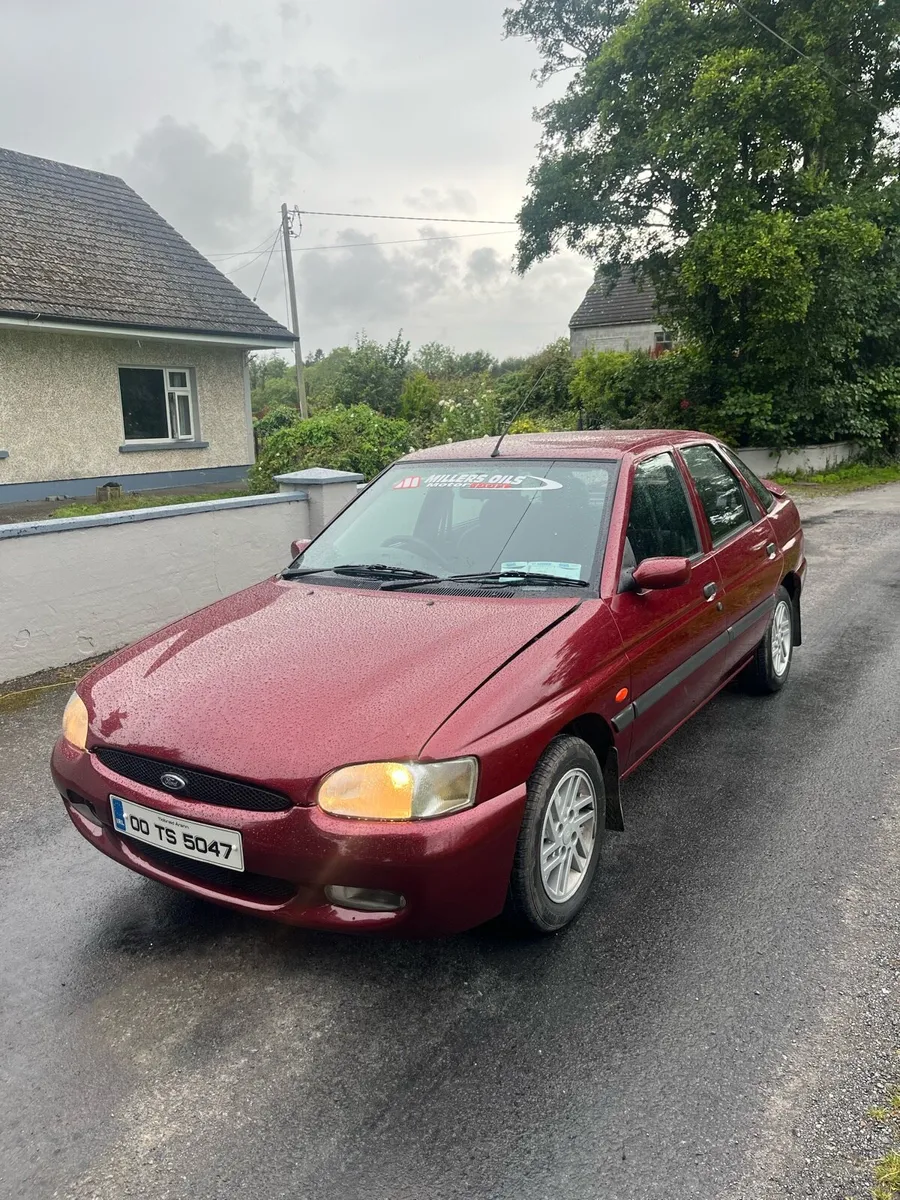 Escort - Image 4