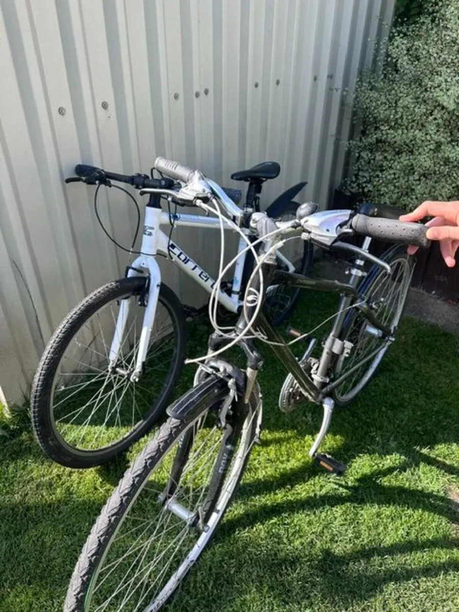 Mountain Bikes - Image 1