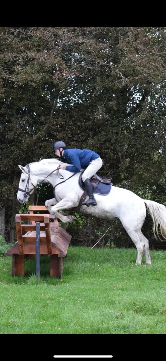 Cob - Image 1