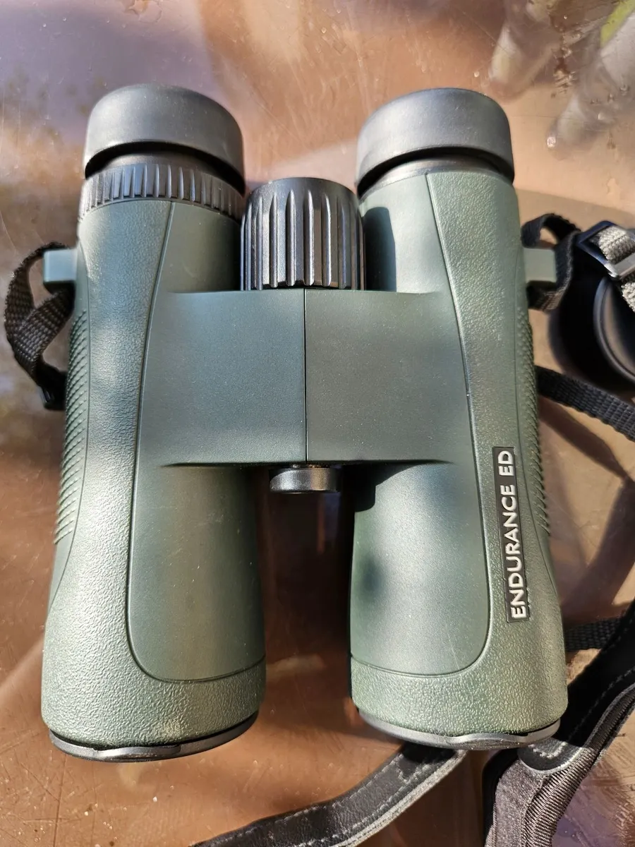 10 x 42 Binoculars - Image 1