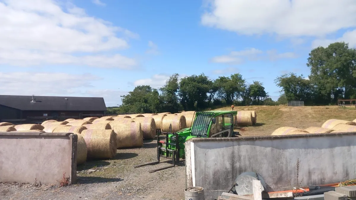 Hay bales for sale - Image 2