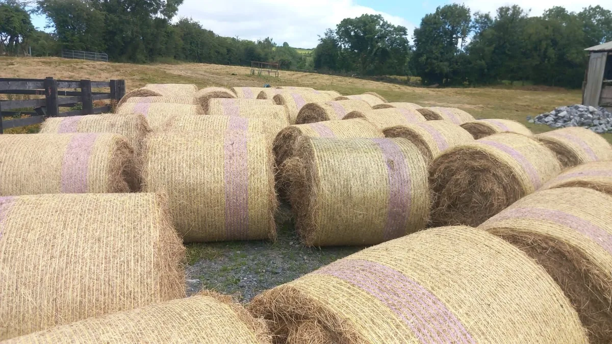 Hay bales for sale - Image 3