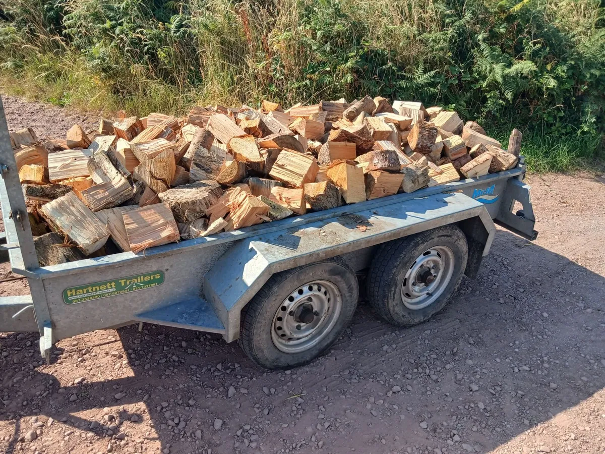 Firewood for sale 8x4 trailer loads dry - Image 2