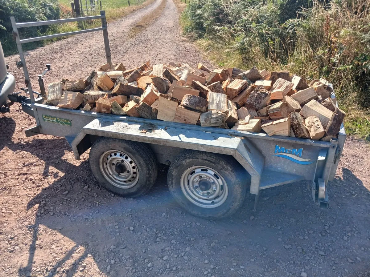 Firewood for sale 8x4 trailer loads dry - Image 3