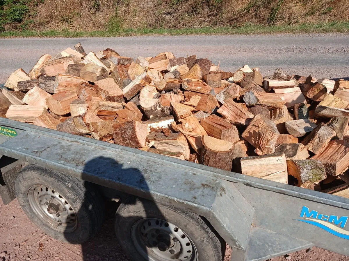 Firewood for sale 8x4 trailer loads dry - Image 4
