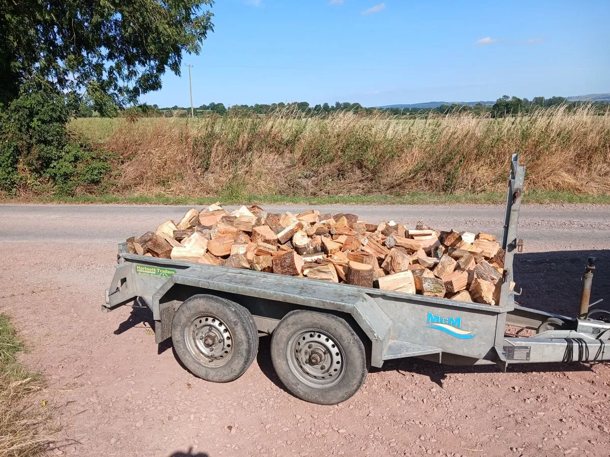 Firewood for sale 8x4 trailer loads dry - Image 1