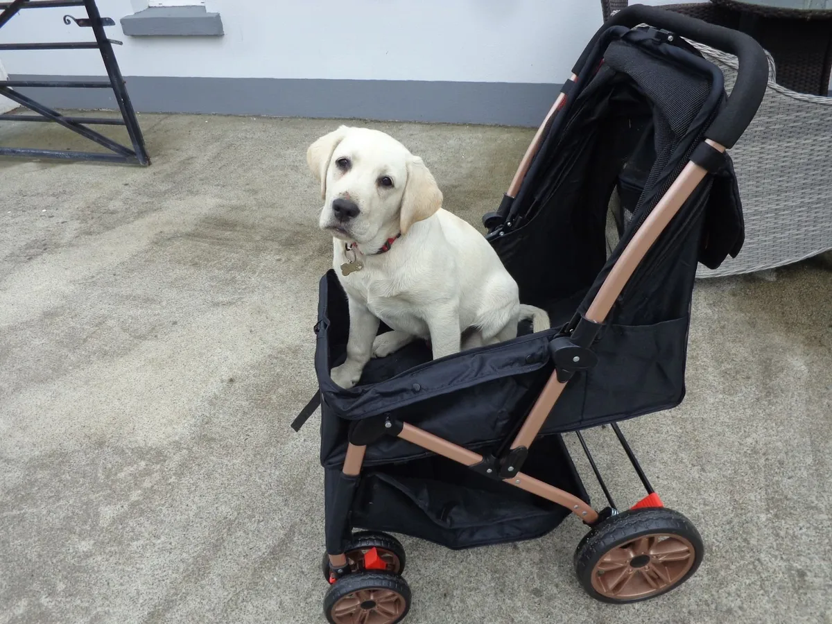pet cart - Image 1