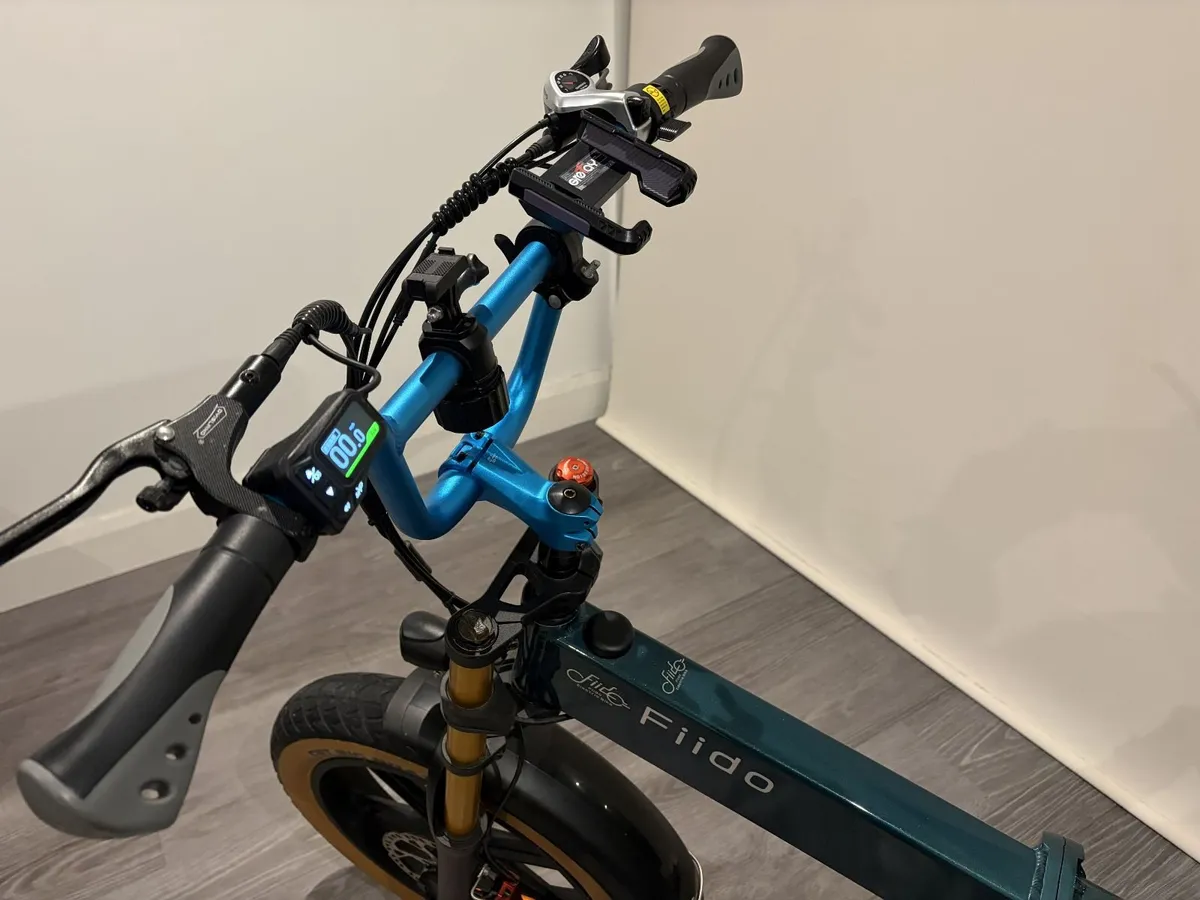 Fiido M1 Pro Fat Tire Electric Bike - Image 2