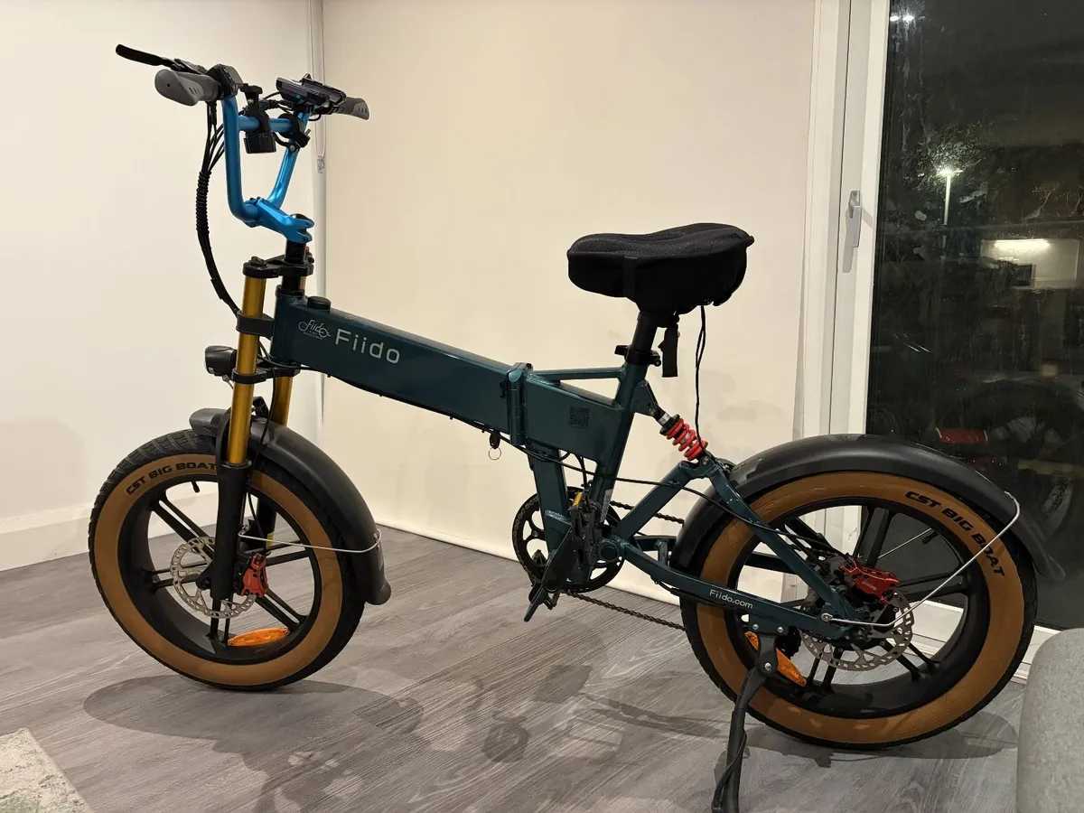 Fiido M1 Pro Fat Tire Electric Bike - Image 1