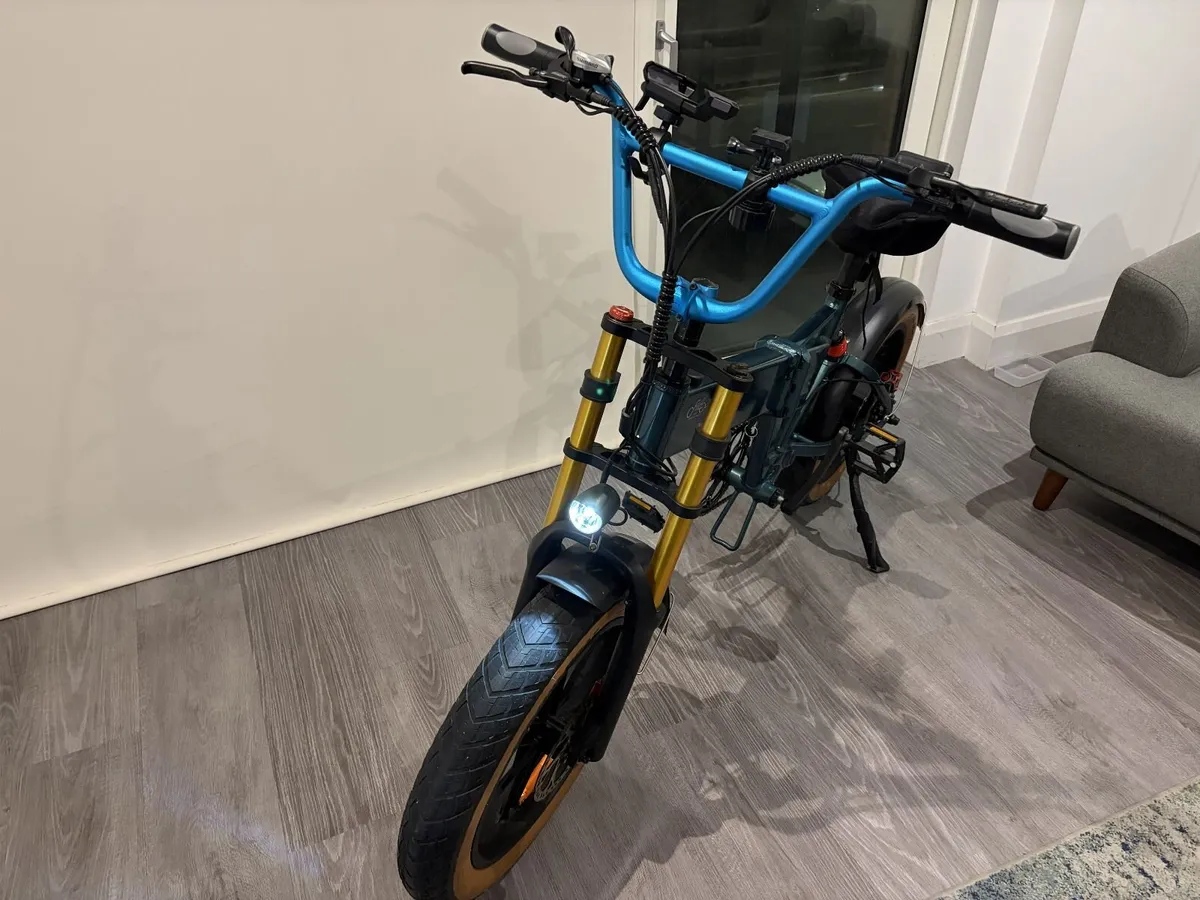 Fiido M1 Pro Fat Tire Electric Bike - Image 3