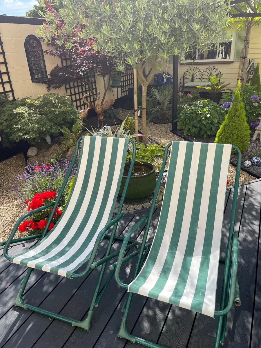 Sunloungers - Image 1