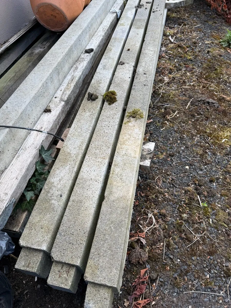 Concrete fence rails