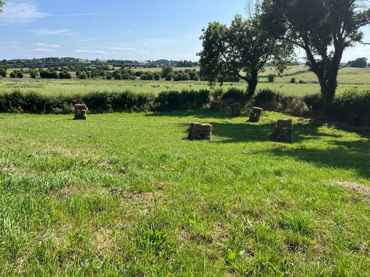 Square Hay Bales – Old Meadow Hay - Image 3
