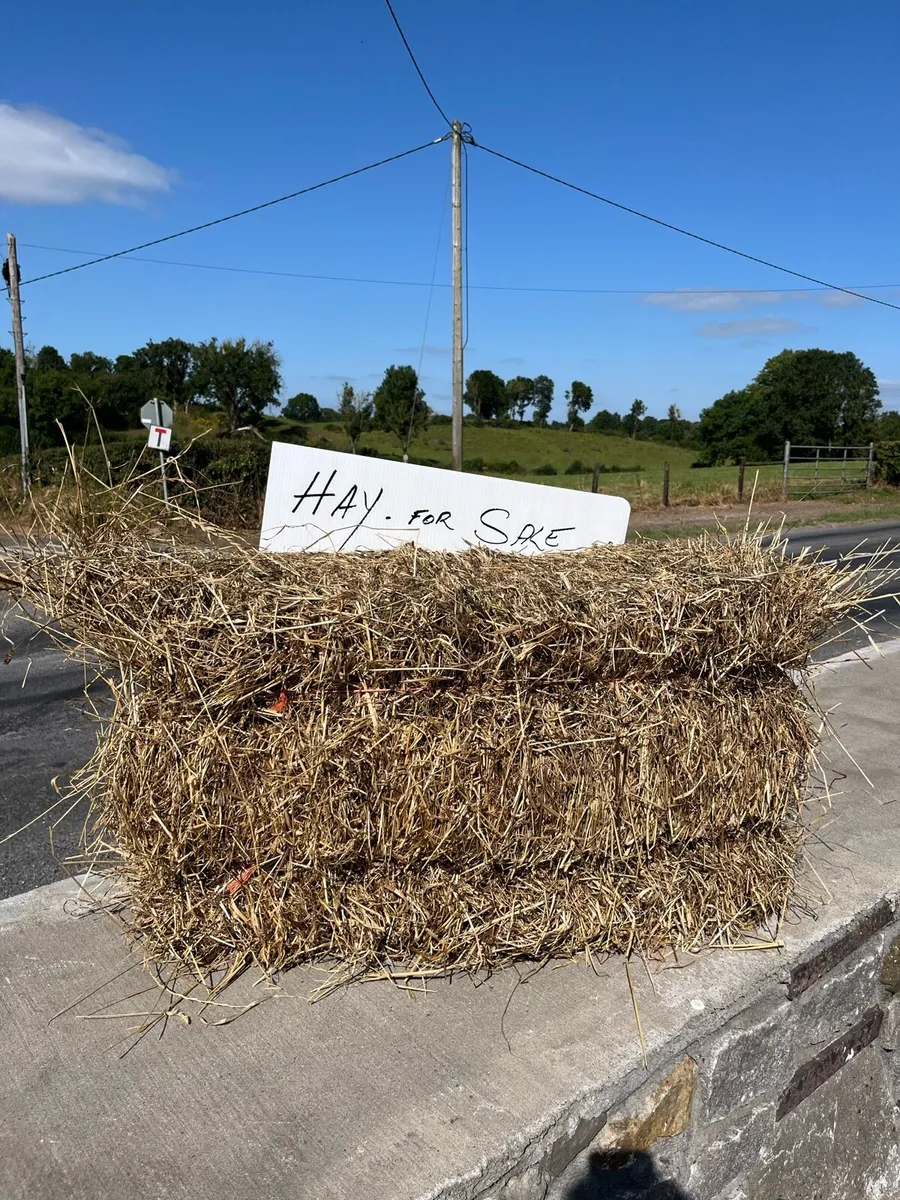 Square Hay Bales – Old Meadow Hay - Image 1