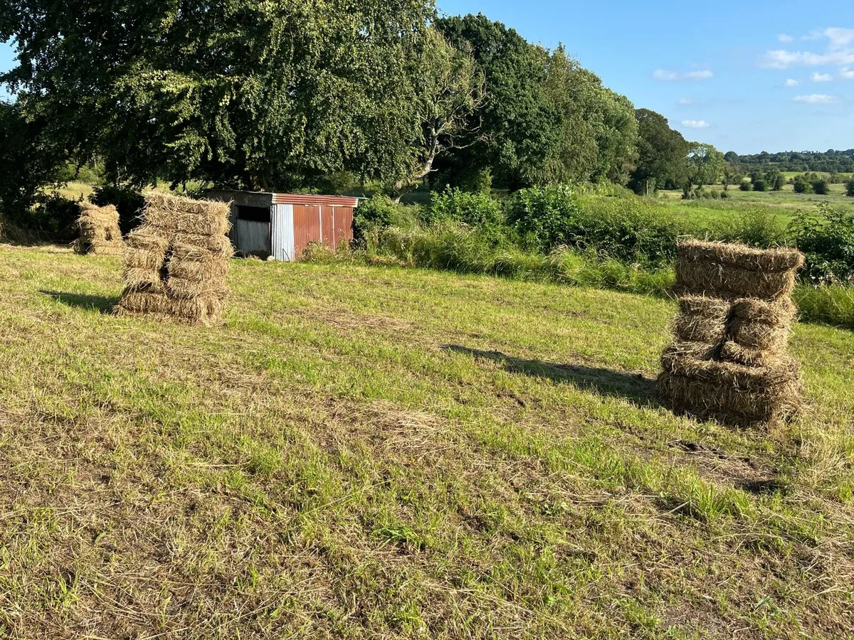 Square Hay Bales – Old Meadow Hay - Image 2