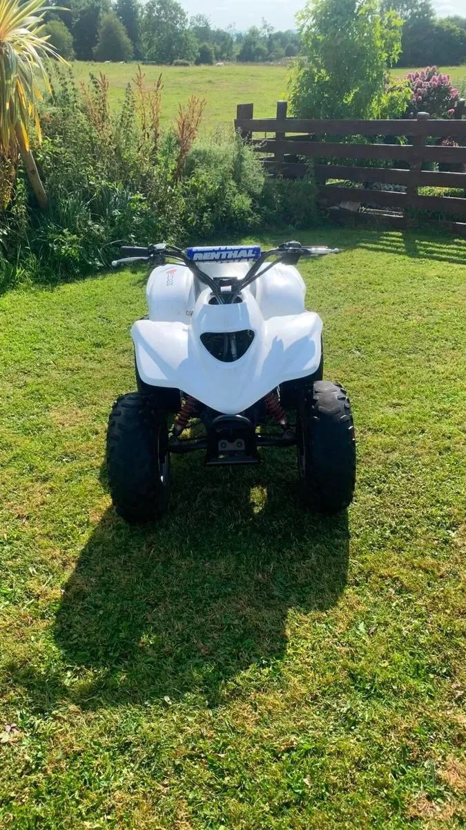 Quad - Image 4