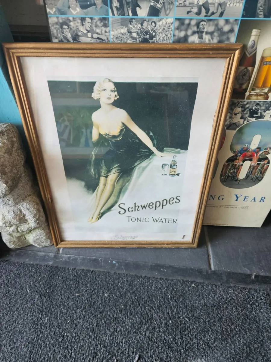 Schwepps Tonic Water Picture - Image 2