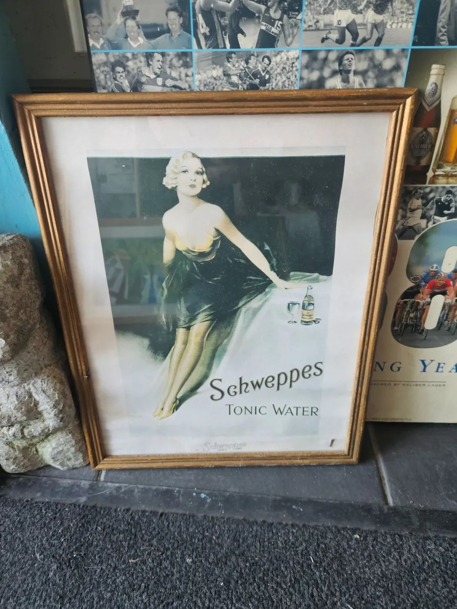 Schwepps Tonic Water Picture - Image 1