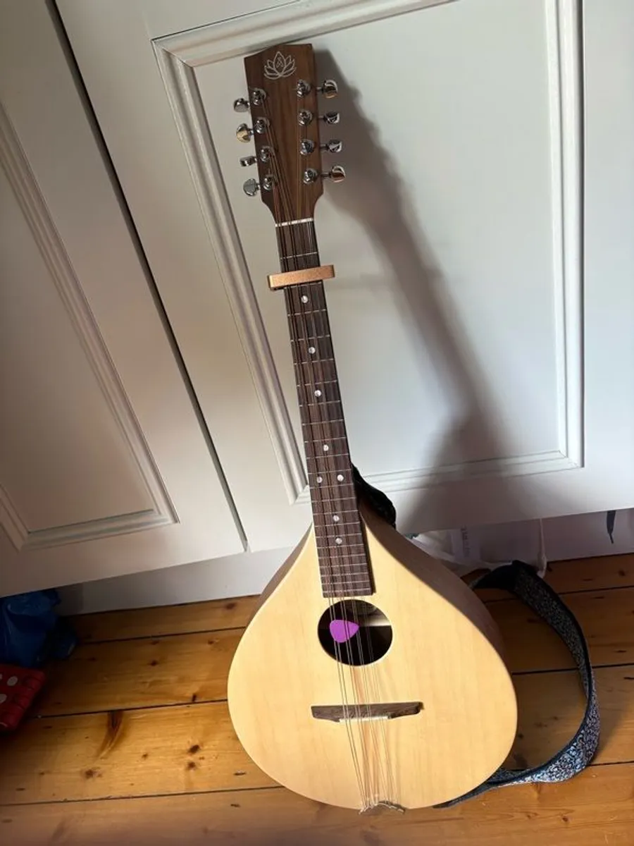Brand New Ashbury Rathlin Octave Mandolin - Image 2