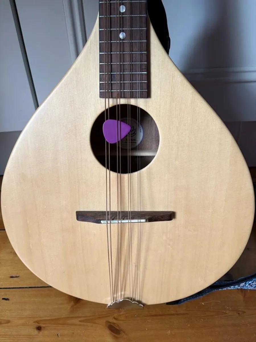 Brand New Ashbury Rathlin Octave Mandolin - Image 4